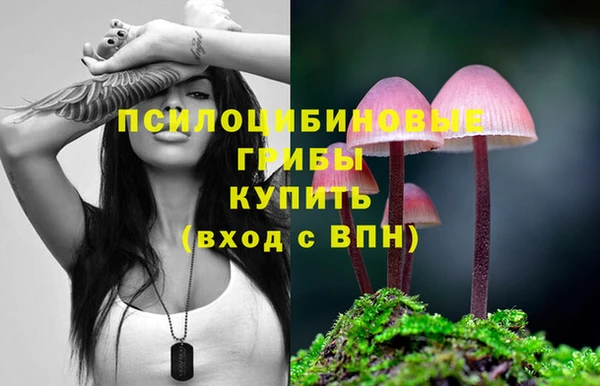 гашиш Нея